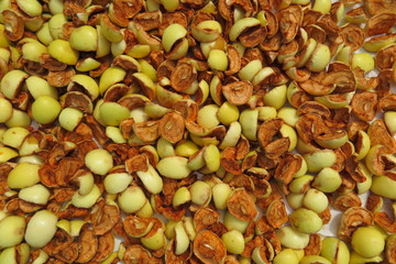 Sliced apples drying on a baking tray