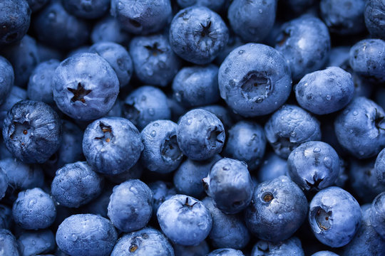 Fresh ripe bilberry background