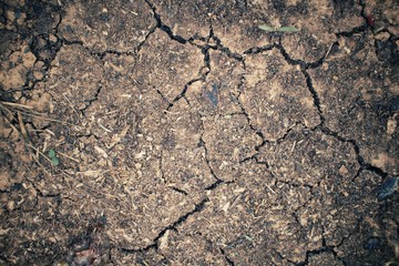Cracked dry soil