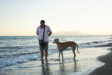 Galgo paseando por la playa con su dueño