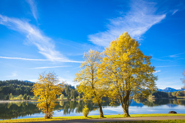 Fototapeta premium Forggensee im Allgaeu im Herbst