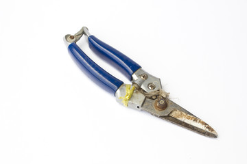  Old  pruning shears isolated on white background