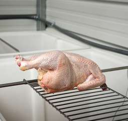 Fresh-killed free range organic chicken on the shelf