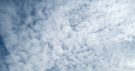 white clouds in the in little blue sky