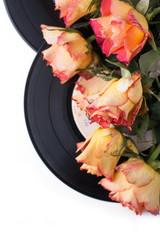 Orange roses with old records over white