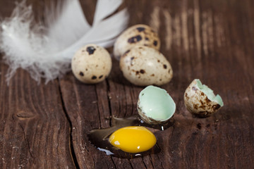 Fototapeta na wymiar Broken quail egg with the leaked yolk