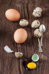 Fototapeta na wymiar Broken quail egg with the leaked yolk and chicken eggs