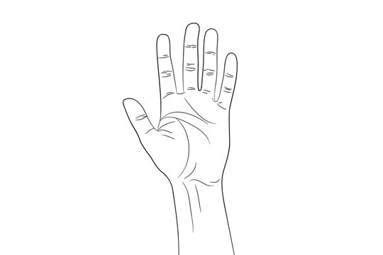 Greeting Hand Gesture outline contour