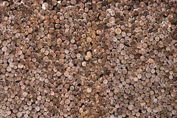 decorative cross section view  cutting wood