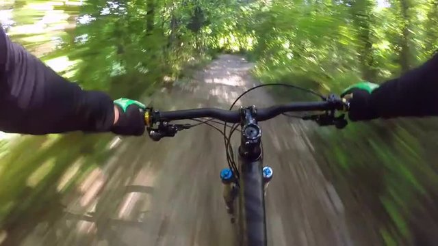 Mountain biker riding trough forest