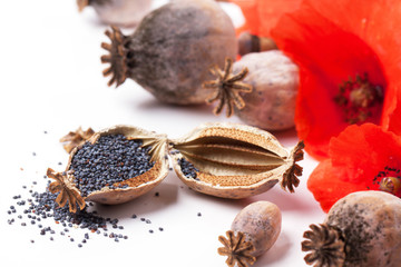 Poppy grain and flowers