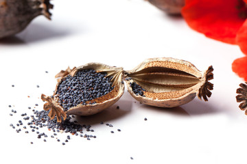 Poppy grains