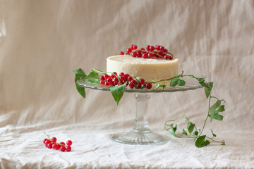 Cake with redcurrant
