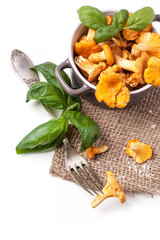 Little pan of  chanterelles © Natasha Breen