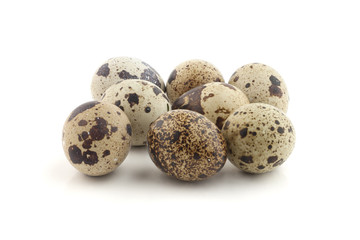 Quail eggs
