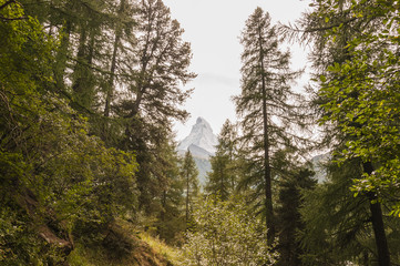 Zermatt, Dorf, Bergdorf, Walliser Dorf, Alpen, Schweizer Alpen, Walliser Berge, Wanderferien, Wanderweg, Matterhorn, Wallis, Sommer, Schweiz