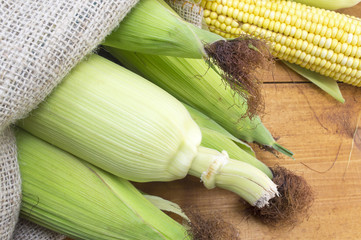 Fresh corn on the wooden table