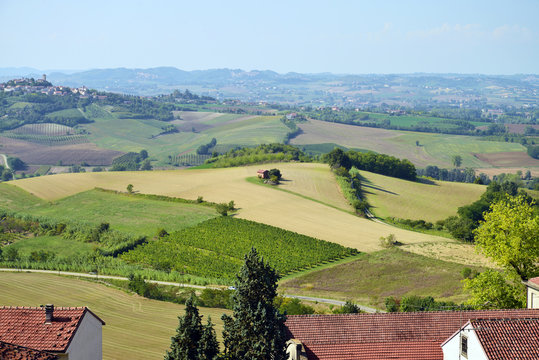 le campagne del Monferrato, Piemonte