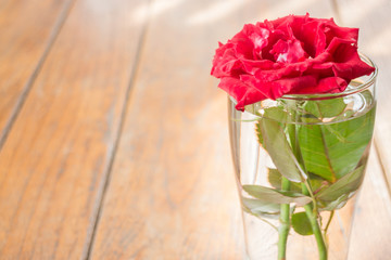 Beautiful red rose on wooden table