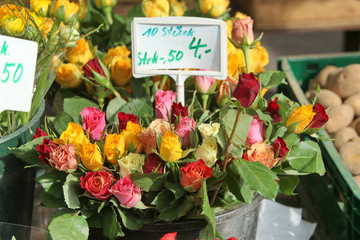 Blumenstand mit Rosen in der Markthalle Kassel