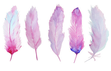 Watercolor feathers © Ivan Feoktistov