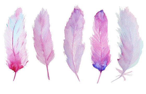 Watercolor Feathers