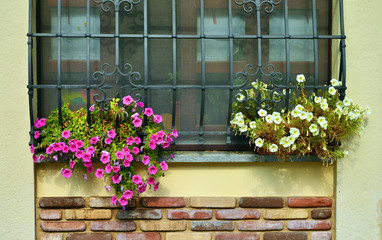 finestra con inferriata in ferro battuto e fioriere