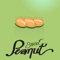 Vector vegetable with typography design