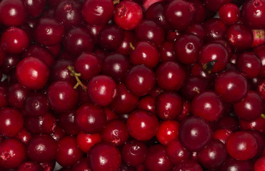 foxberries background