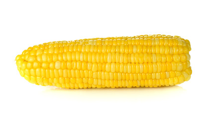 ears of Sweet corn isolated on white background