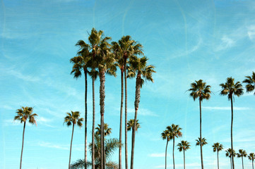 oude en versleten vintage foto van palmbomen