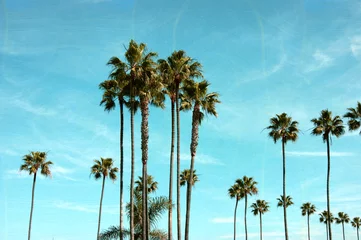 Foto op Plexiglas Palmboom oude en versleten vintage foto van palmbomen