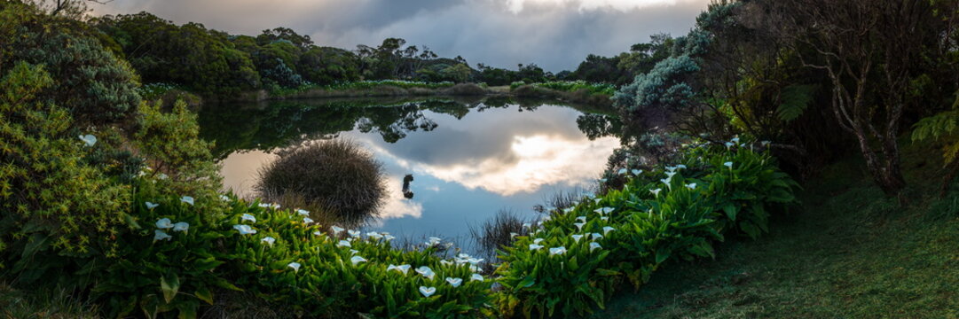 Piton de l'Eau , Ile de la R&eacute;union .