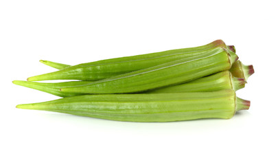 green roselle on white background