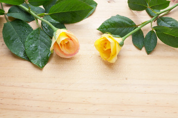 Yellow roses on wood table