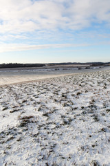 Snowy field.
