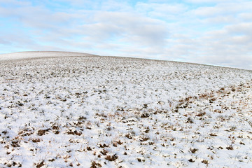 Snowy field.