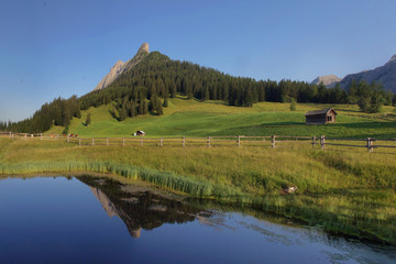 Walder Alm am frühen Morgen