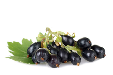currants on a white background