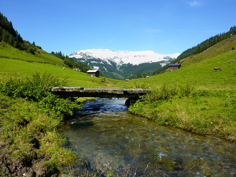Holzbrücke über den Wiesenbach
