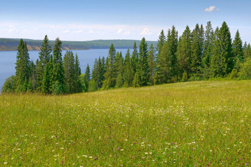 sky forest river meadow hills
