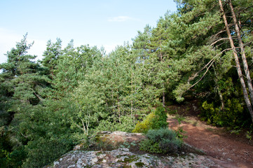 landscapes of prades	
Red pine forest and paths areas of natural interest of the Montsant mountains to Prades, Catalonia, Spain