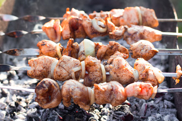 Smoky grilled marinated meat skewers Chicken