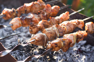 Smoky grilled marinated meat skewers Chicken