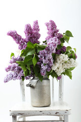 Beautiful lilac in watering can on white background