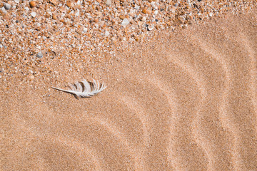 Перо на песке пляжа