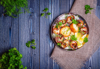 Fried snails with garlic butter and herbs on dark background