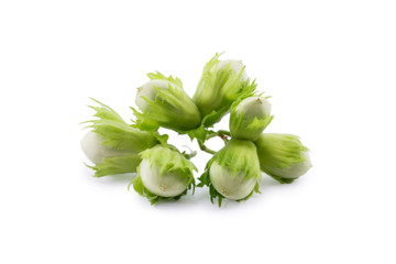 green hazelnuts isolated on a white background