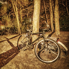 bikes in the forest at night in sepia tone