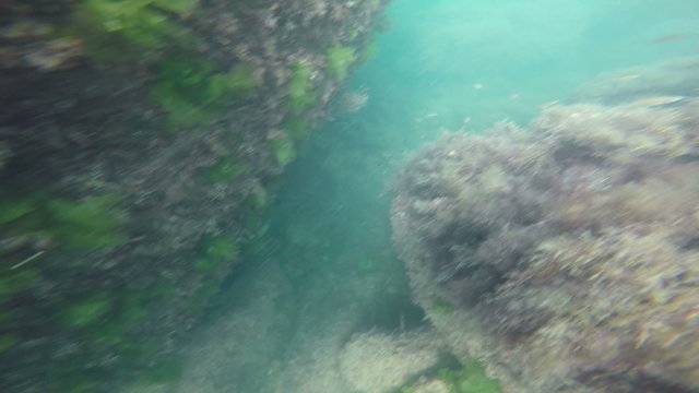 The seabed, underwater